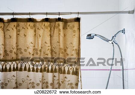 Contemporary Chrome Showerhead and Shower Curtain View Large Photo Image Stock Image - Contemporary Chrome Showerhead and Shower Curtain. Fotosearch