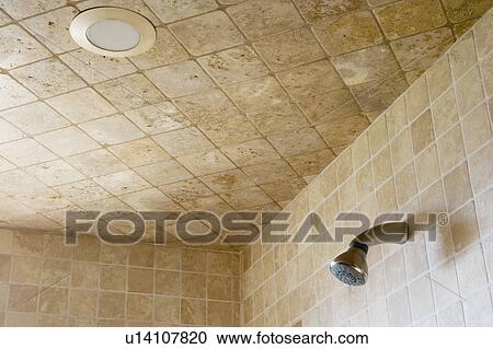 Stock Image - Shower Head and Tile. Fotosearch