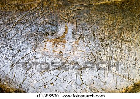 Stock Image - Detail of Texture in Wood Furniture. Fotosearch