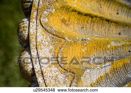 Old Stone Birdbath View Large Photo Image Stock Photo - Old Stone Birdbath. Fotosearch