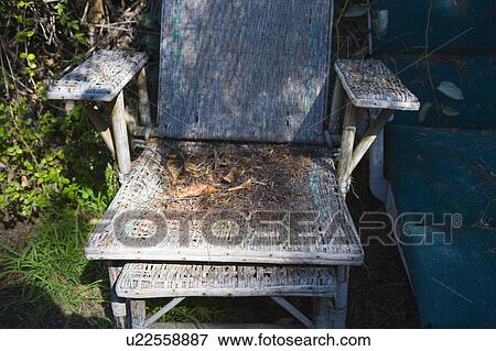Old Worn Wood Deck Chair View Large Photo Image Stock Photo - Old Worn Wood Deck Chair. Fotosearch