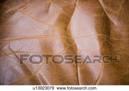 Detail of worn leather surface View Large Photo Image Stock Photo - Detail of worn leather surface. Fotosearch