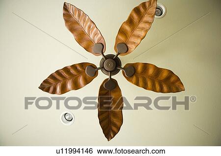 Beach Style Wood Ceiling Fan Stock Photograph U11994146 Fotosearch