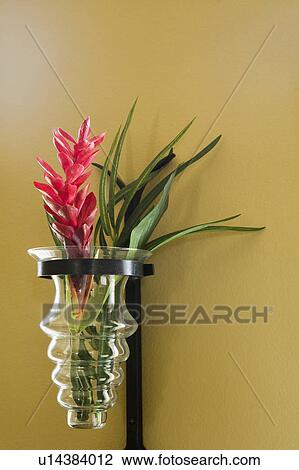 Pink Flowers in Vase on Wall View Large Photo Image Stock Image - Pink Flowers in Vase on Wall. Fotosearch