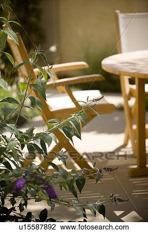 Stock Image - Canvas Chairs in Outdoor Dining Set. Fotosearch