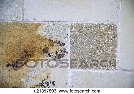 Detail of Tile Floor in Home View Large Photo Image Stock Image - Detail of Tile Floor in Home. Fotosearch