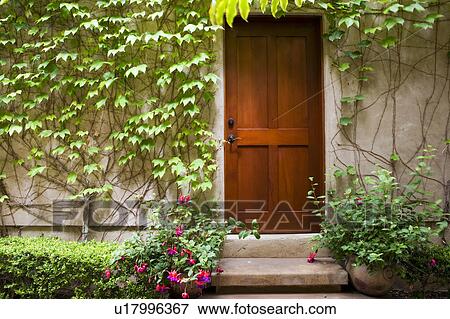 Stock Photo - Detail of wooden door next to wall with ivy.. Fotosearch