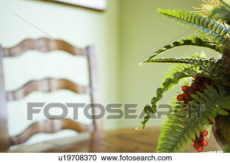 Fern on Dining Table View Large Photo Image Stock Image - Fern on Dining Table. Fotosearch