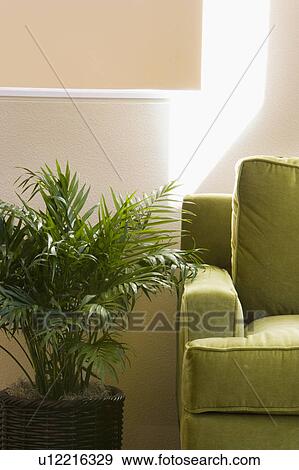 Stock Photo - Green Arm Chair and Potted Plant. Fotosearch
