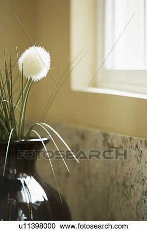 Indoor Flower in Vase View Large Photo Image Stock Image - Indoor Flower in Vase. Fotosearch
