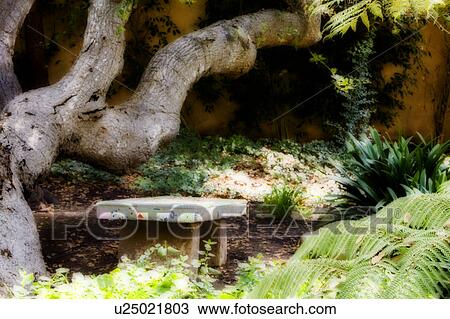 Personal Tiled Bench under Trees View Large Photo Image Stock Image - Personal Tiled Bench under Trees. Fotosearch