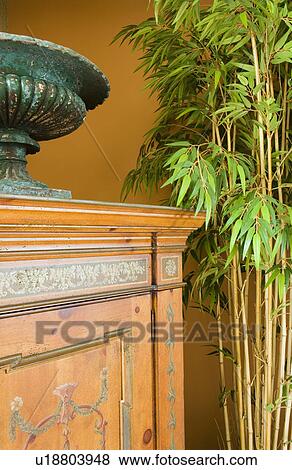 Sideboard with Large Bamboo Plant View Large Photo Image Stock Photo - Sideboard with Large Bamboo Plant. Fotosearch