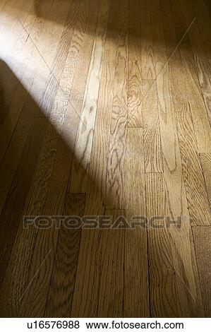 Stock Photo - Sunlight on Hardwood Floor. Fotosearch