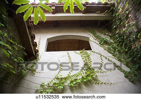 Upward view of ivy climbing into arch. View Large Photo Image Stock Photography - Upward view of ivy climbing into arch.. Fotosearch