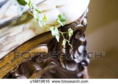 Vine Leaves and Table View Large Photo Image Stock Photograph - Vine Leaves and Table. Fotosearch