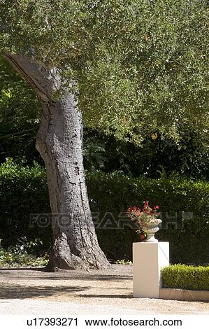 Stock Image - -. Fotosearch