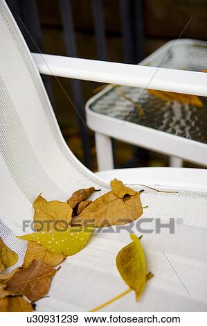 Detail of leaves on white chair. View Large Photo Image Stock Photo - Detail of leaves on white chair.. Fotosearch
