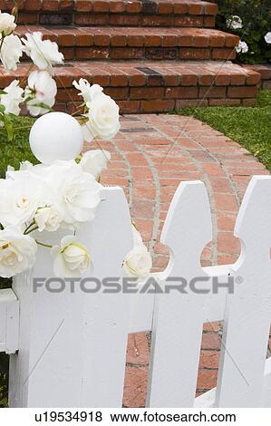 Stock Photo - Detail of White Picket Fance and Flowers. Fotosearch