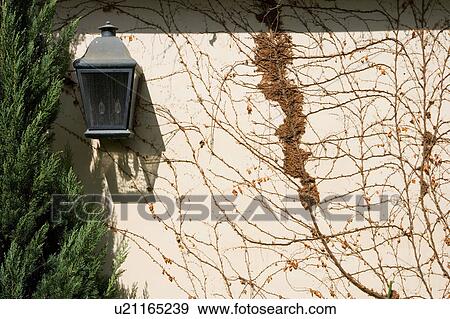 Light fixture on garden wall View Large Photo Image Stock Photo - Light fixture on garden wall. Fotosearch