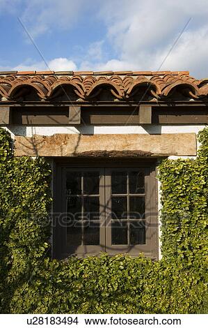 Spanish Style Exterior Wall Covered in Greenery View Large Photo Image Picture - Spanish Style Exterior Wall Covered in Greenery. Fotosearch