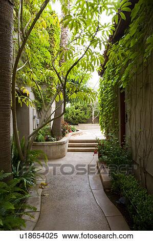 Vignette of pathway through foliage. View Large Photo Image Stock Photography - Vignette of pathway through foliage.. Fotosearch