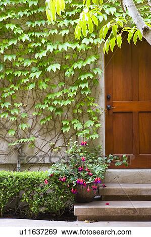 Stock Photo - Wooden door with ivy covered wall. Fotosearch