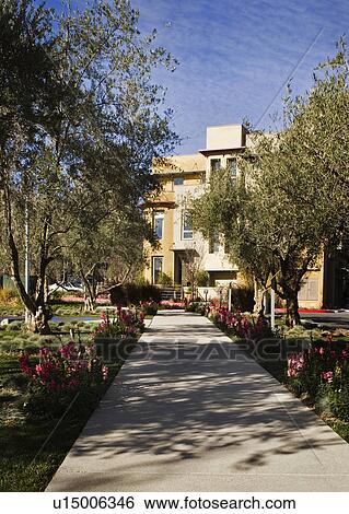 Sidewalk Leading to Front Entrance of Contemporary Condominium/Homes View Large Photo Image Stock Photograph - Sidewalk Leading to Front Entrance of Contemporary Condominium/Homes. Fotosearch