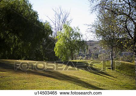 Bench sitting on grassy hill View Large Photo Image Stock Photography - Bench sitting on grassy hill. Fotosearch
