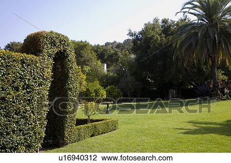 Doorway in hedges View Large Photo Image Stock Image - Doorway in hedges. Fotosearch