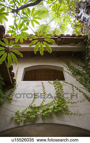 Ivy climbing into arch View Large Photo Image Stock Photography - Ivy climbing into arch. Fotosearch