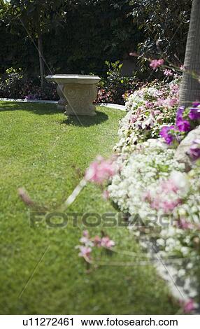 Stone bench in yard with garden View Large Photo Image Stock Image - Stone bench in yard with garden. Fotosearch