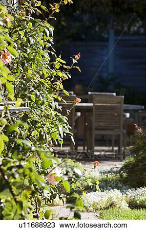 Stock Image - Wooden outdoor dining table and chairs. Fotosearch