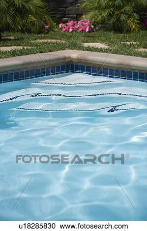 Stock Image - Swimming pool detail. Fotosearch