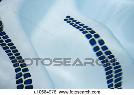 Swimming Pool Steps View Large Photo Image Stock Photograph - Swimming Pool Steps. Fotosearch