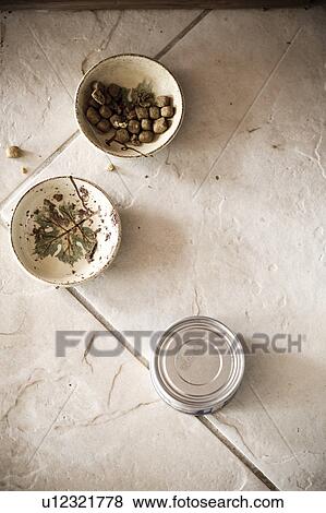 Detail of cat food dishes and a can of cat food View Large Photo Image Stock Photo - Detail of cat food dishes and a can of cat food. Fotosearch