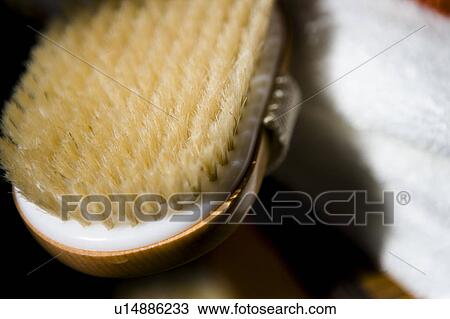 Natural scrub brush View Large Photo Image Stock Image - Natural scrub brush. Fotosearch