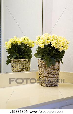 Basket of Yellow Flowers View Large Photo Image Stock Photography - Basket of Yellow Flowers. Fotosearch