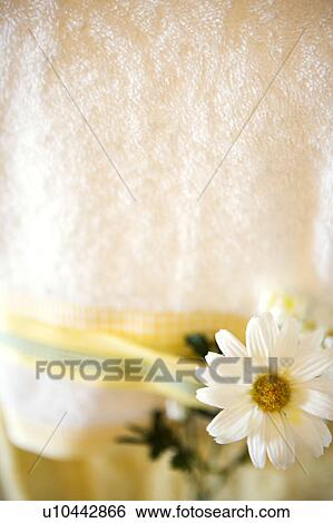 Fake Flowers on Towel View Large Photo Image Stock Photograph - Fake Flowers on Towel. Fotosearch