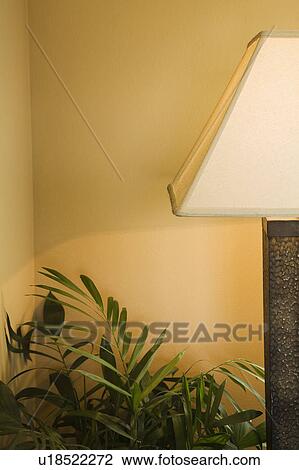 Lamp and Plant in Corner View Large Photo Image Stock Image - Lamp and Plant in Corner. Fotosearch