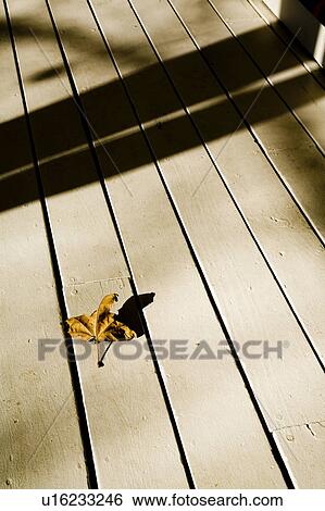 Stock Photograph - Leaf on Front Porch. Fotosearch