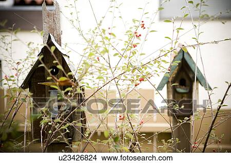 Birdhouses with Fence in Background View Large Photo Image Picture - Birdhouses with Fence in Background. Fotosearch