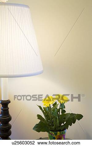 Stock Image - Lamp and yellow flower. Fotosearch