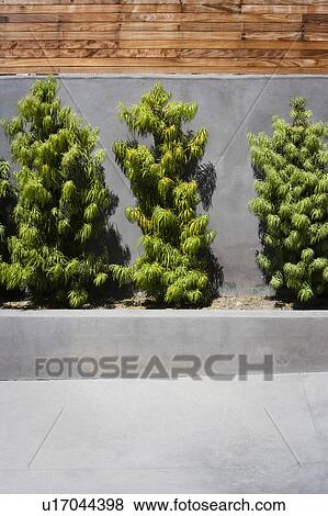 Landscape detail by driveway View Large Photo Image Stock Photo - Landscape detail by driveway. Fotosearch