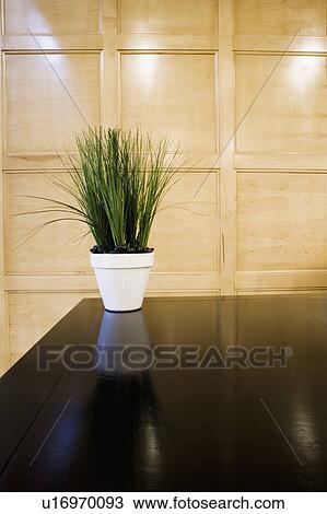Potted plant on table View Large Photo Image Stock Image - Potted plant on table . Fotosearch