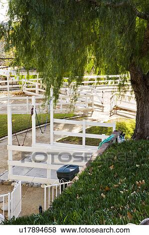 Stock Photo - Tree on Hill Overlooking Stables. Fotosearch