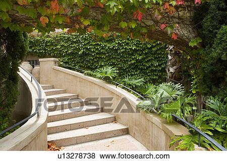 Stock Photo - View of steps surrounded with foliage. Fotosearch