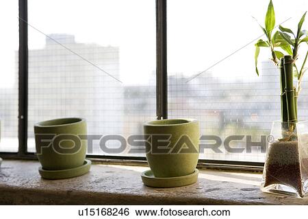 Two green cups and bamboo on window ledge. View Large Photo Image Stock Photograph - Two green cups and bamboo on window ledge.. Fotosearch