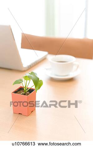 Stock Image - Table. Fotosearch