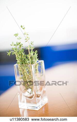 Vase View Large Photo Image Stock Image - Vase. Fotosearch