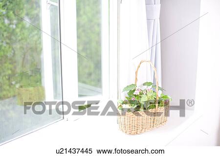 Stock Photography - Window. Fotosearch